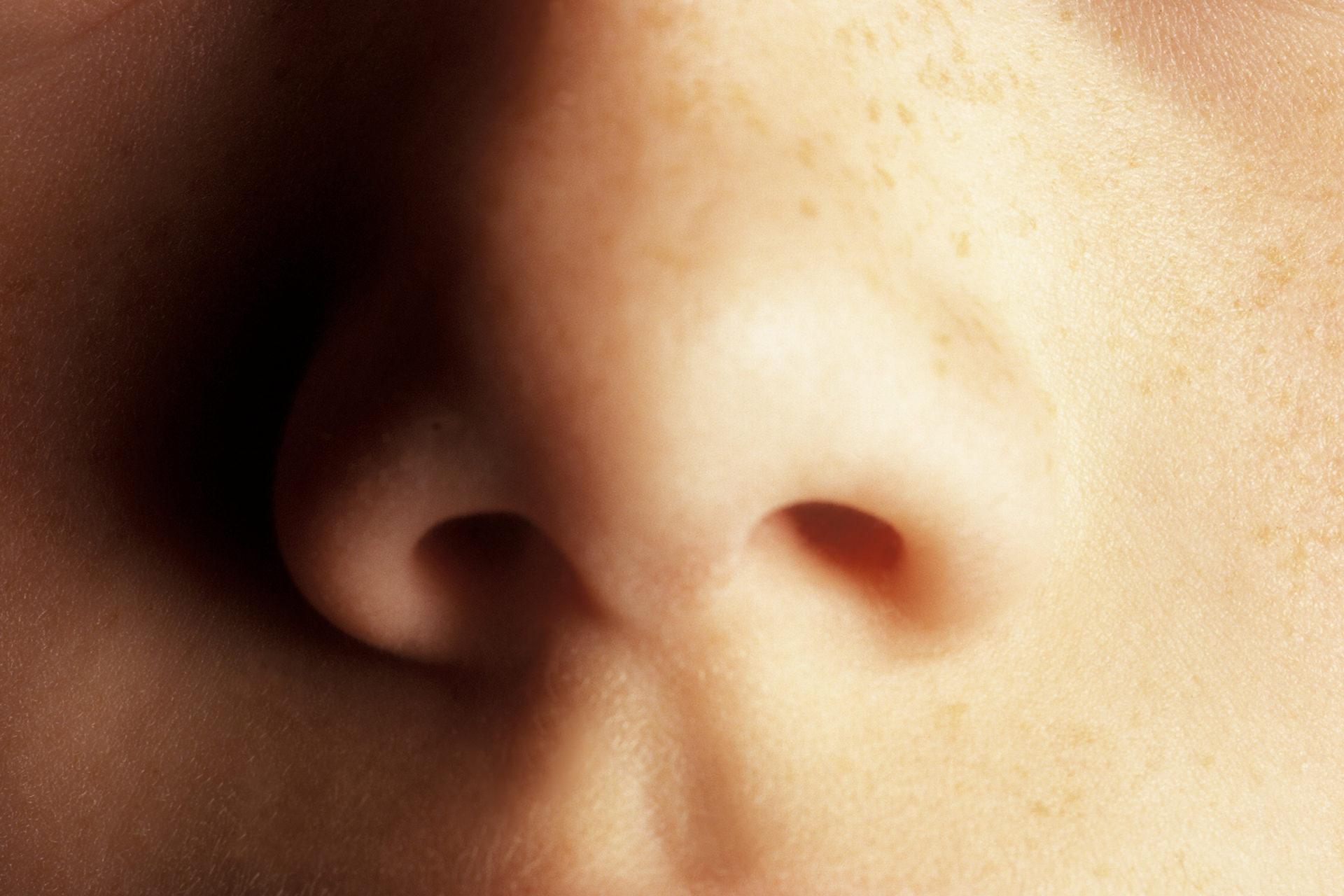 Покажи картинки носа. Нос картинка. Картинка носа человека.